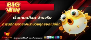 สล็อตทุกค่าย ฝากถอน ไม่มี ขั้น ต่ํา